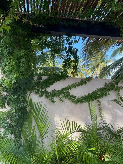 Villa Casa Tulup Sisal Esterno foto